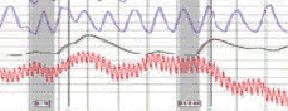 Pomona-area lie detector